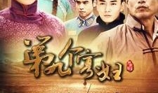 第九个寡妇电视剧全集免费,揭秘神秘家族的复仇传奇