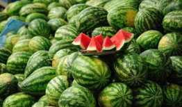 广西吃瓜爆料事件真相