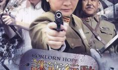 诛寇行动 电视剧